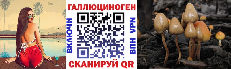 Псилоцибиновые грибы прущие грибы  наркошоп  Ивантеевка 