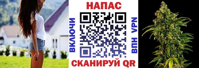 Канабис OG Kush Ивантеевка